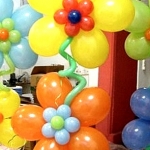 Baloons for all occations102