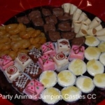 Party Animals Jumping Castels offers Kids Platters004