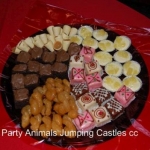 Party Animals Jumping Castels offers Kids Platters005