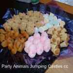 Party Animals Jumping Castels offers Kids Platters006