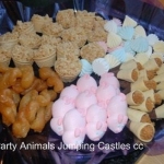 Party Animals Jumping Castels offers Kids Platters007