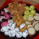 Party Animals Jumping Castels offers Kids Platters013
