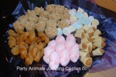 Party Animals Jumping Castels offers Kids Platters007