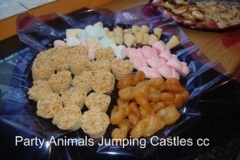 Party Animals Jumping Castels offers Kids Platters008