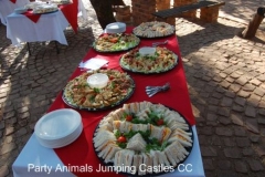 Party Animals Jumping Castels offers Savoury Platters004