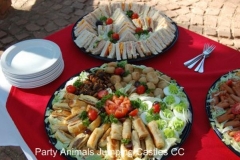 Party Animals Jumping Castels offers Savoury Platters006