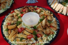 Party Animals Jumping Castels offers Savoury Platters007
