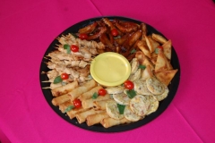 Party Animals Jumping Castels offers Savoury Platters034